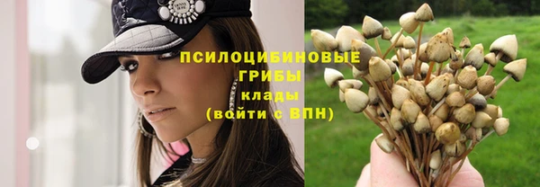 трава Алексеевка
