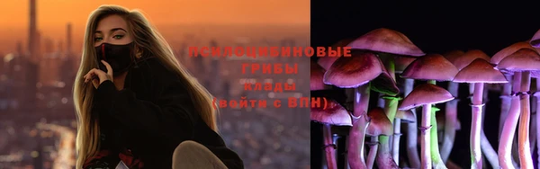 ГАЛЛЮЦИНОГЕННЫЕ ГРИБЫ Алексин