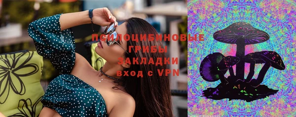 ГАЛЛЮЦИНОГЕННЫЕ ГРИБЫ Алексин