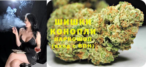 ГАЛЛЮЦИНОГЕННЫЕ ГРИБЫ Алексин