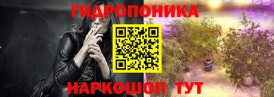 a pvp Свободный