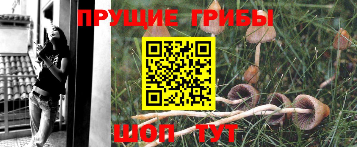 Чусовой  Псилоцибиновые грибы Magic Shrooms  Вход с VPN 