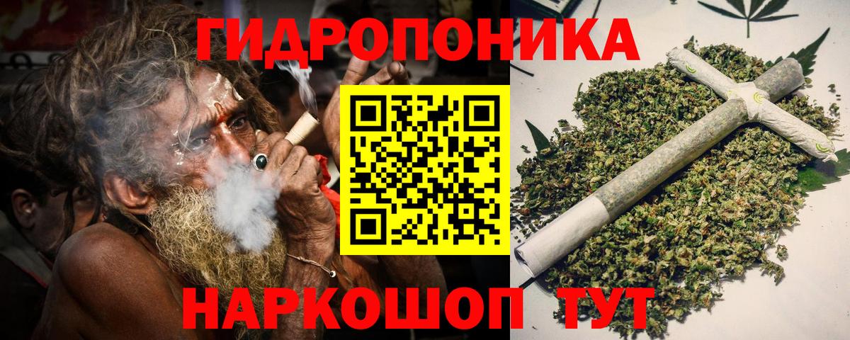Бошки Шишки план Чусовой
